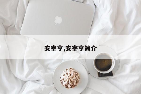 安宰亨,安宰亨简介