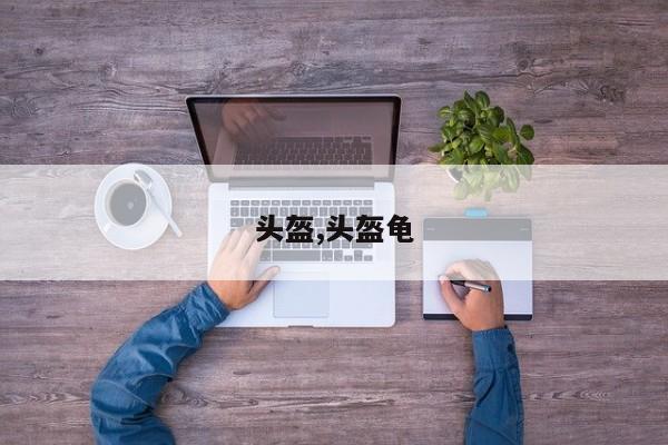 头盔,头盔龟