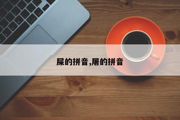 屎的拼音,屠的拼音