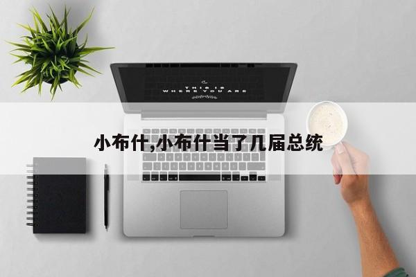 小布什,小布什当了几届总统