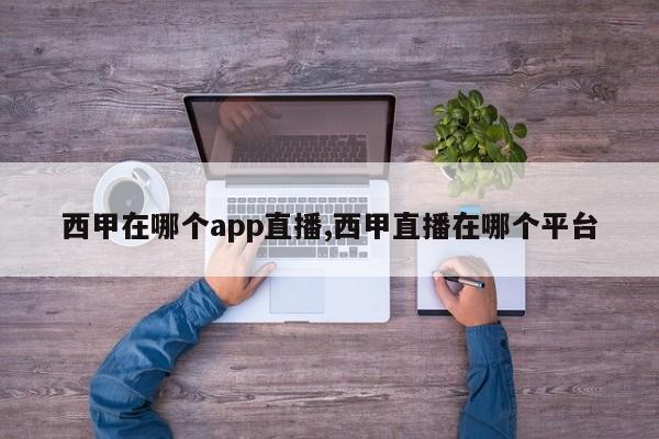 西甲在哪个app直播,西甲直播在哪个平台