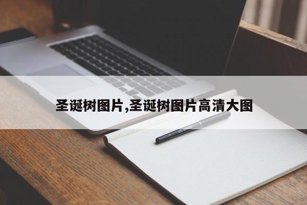 圣诞树图片,圣诞树图片高清大图