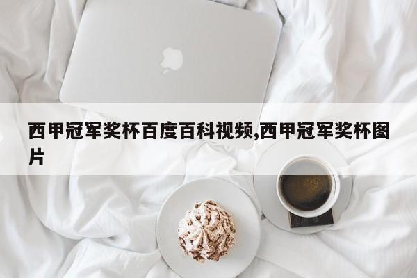 西甲冠军奖杯百度百科视频,西甲冠军奖杯图片