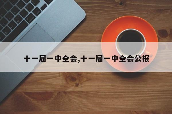 十一届一中全会,十一届一中全会公报