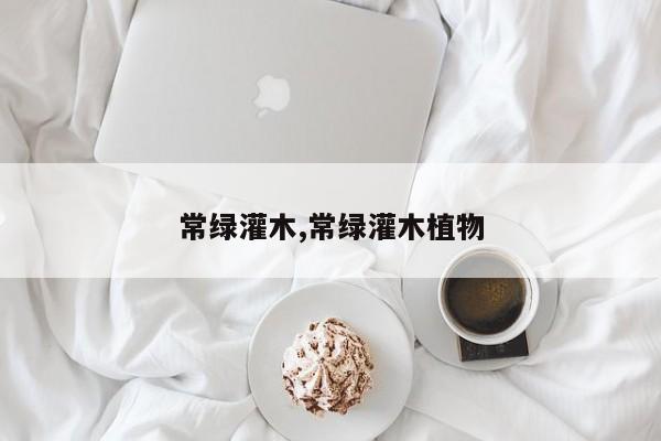 常绿灌木,常绿灌木植物