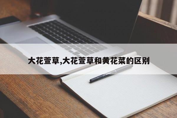 大花萱草,大花萱草和黄花菜的区别