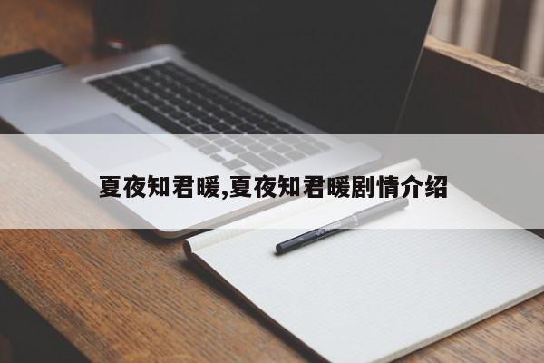 夏夜知君暖,夏夜知君暖剧情介绍