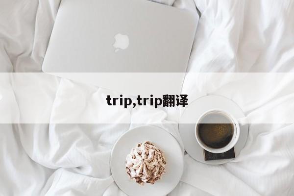 trip,trip翻译