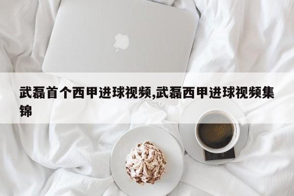 武磊首个西甲进球视频,武磊西甲进球视频集锦