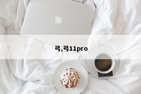 弓,弓11pro