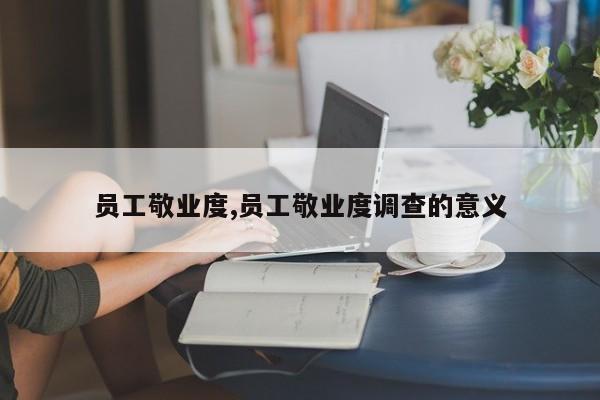 员工敬业度,员工敬业度调查的意义