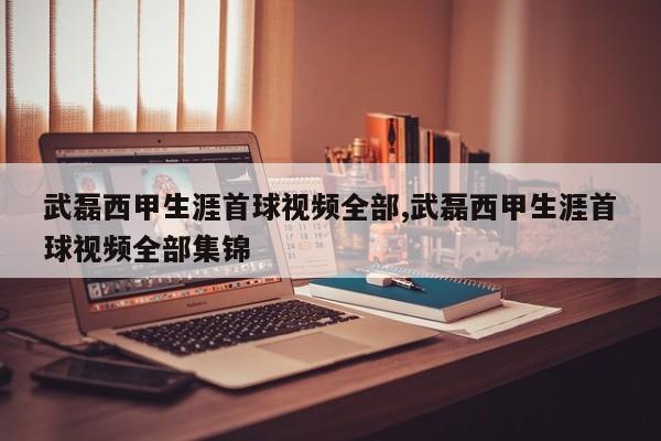 武磊西甲生涯首球视频全部,武磊西甲生涯首球视频全部集锦