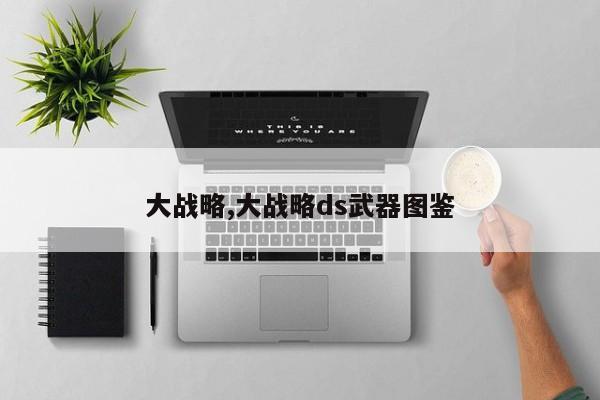 大战略,大战略ds武器图鉴