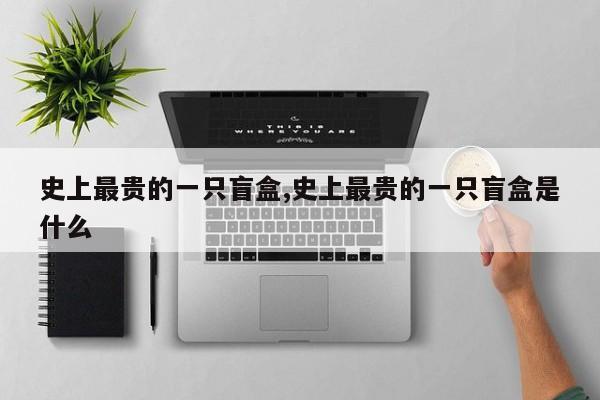 史上最贵的一只盲盒,史上最贵的一只盲盒是什么