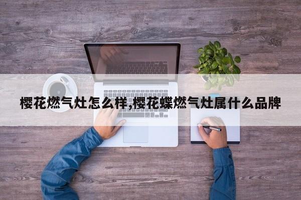 樱花燃气灶怎么样,樱花蝶燃气灶属什么品牌