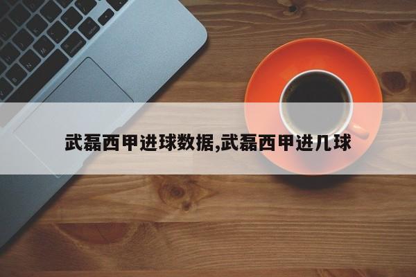 武磊西甲进球数据,武磊西甲进几球